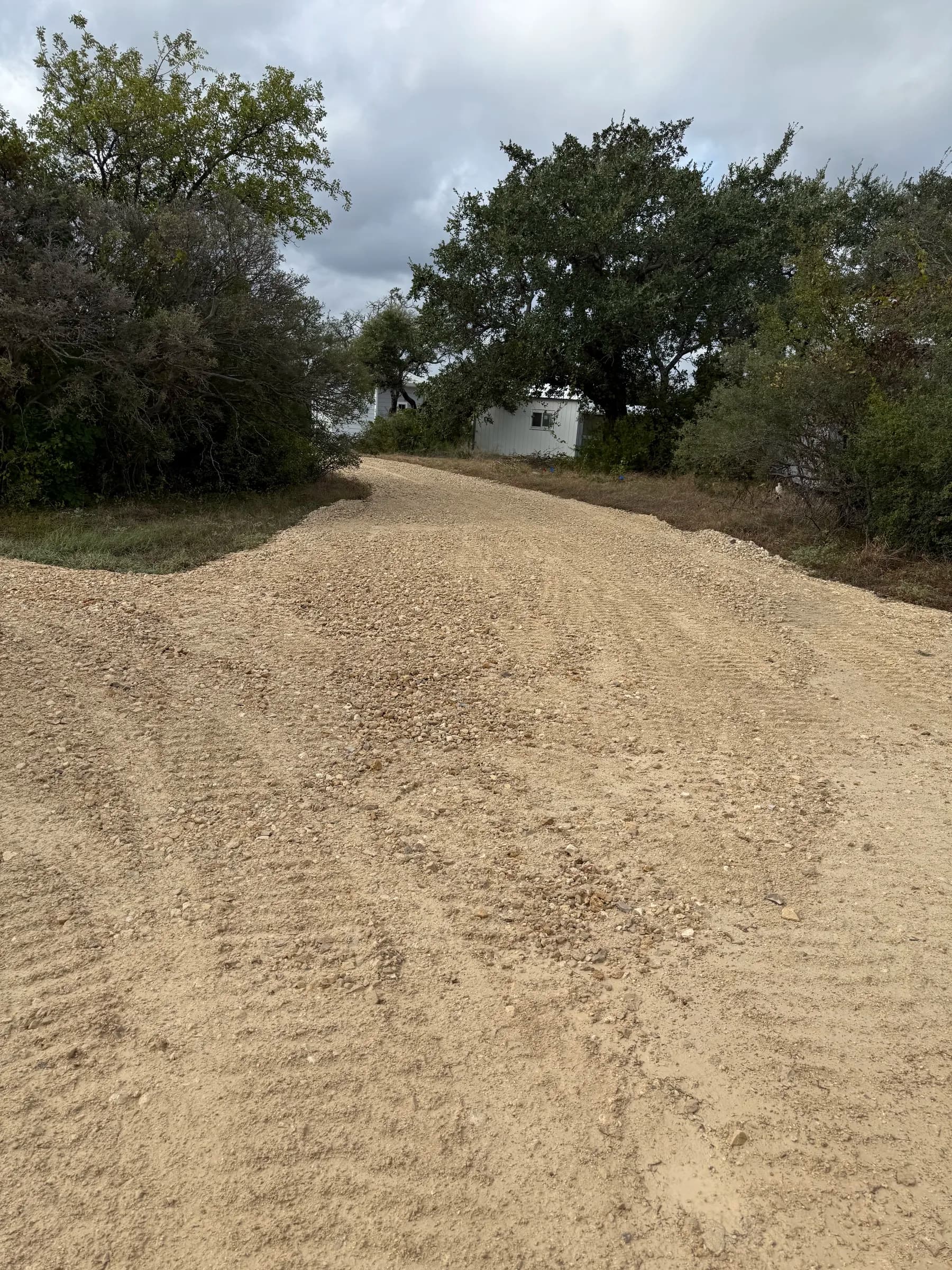 An aggregate drive winding between existing trees at the Ding Dong property